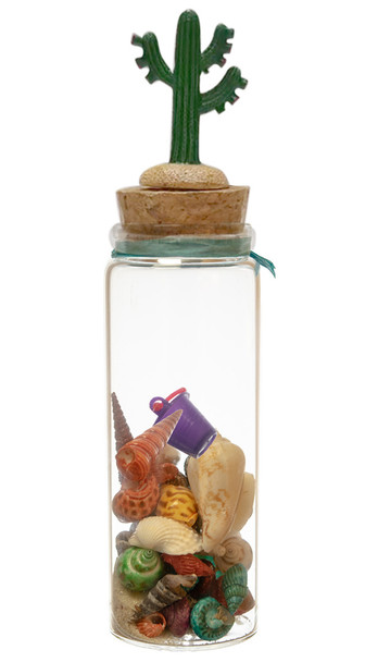 BMD Large Bottle Cactus