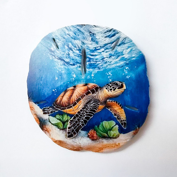 58 Sand Dollar Magnet Sea Turtle