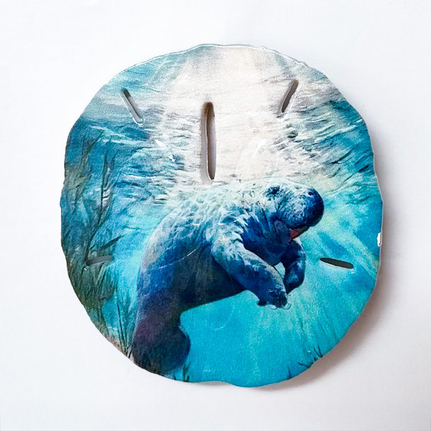 60 Sand Dollar Magnet Manatee