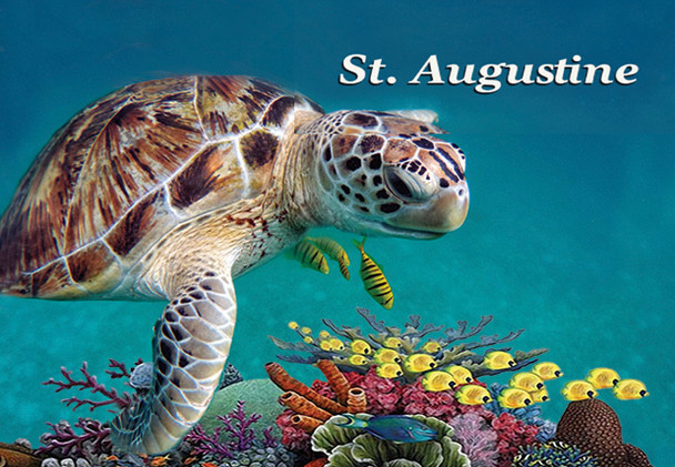 Turtle Foil Magnet St. Aug