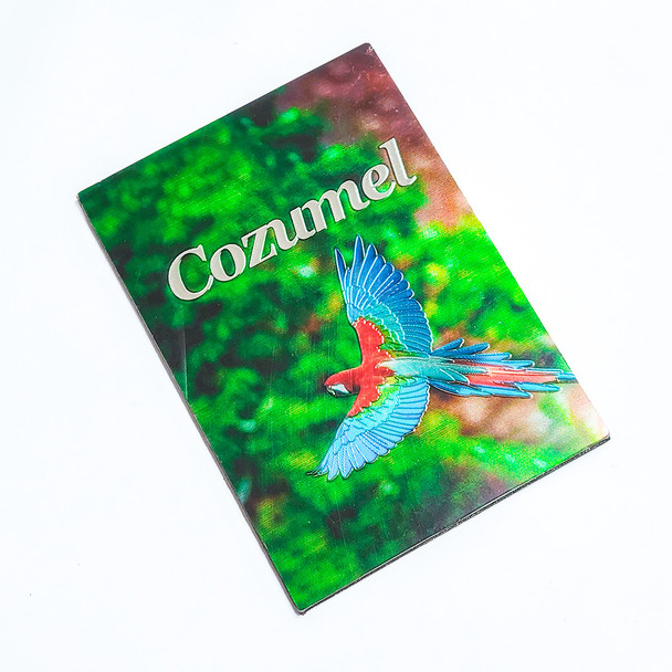 Parrot Foil Magnet Cozumel