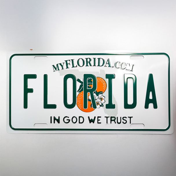 T009 License Plate Florida