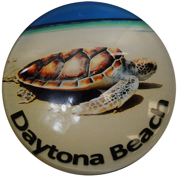 Daytona Beach Turtle Glass Magnet 50mm