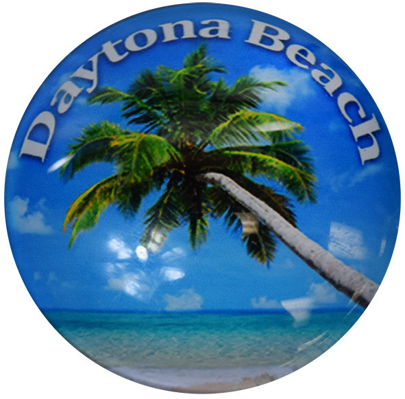 Daytona Beach Turtle Glass Magnet 50mm