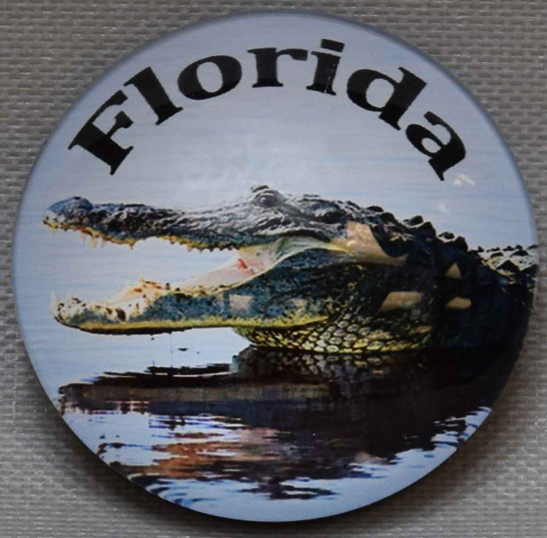 Florida Gator  Glass Magnet 50mm
