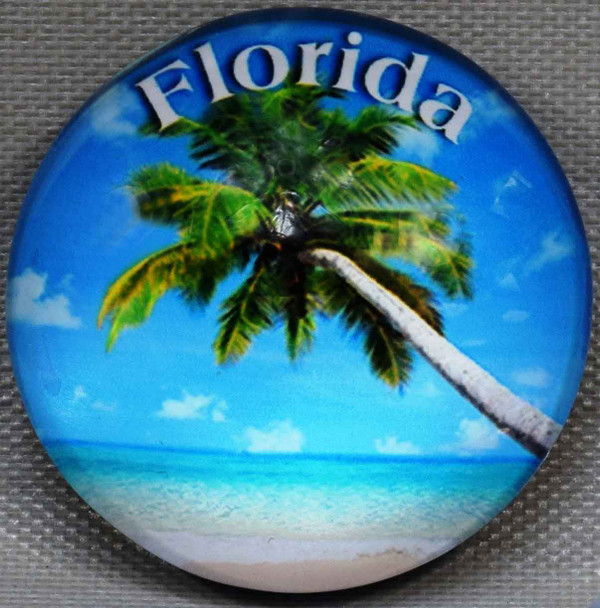 Florida Palm TreeGlass Magnet  50mm