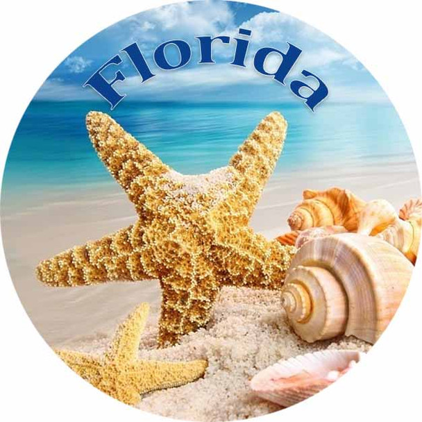Florida Shell  Glass Magnet 50mm
