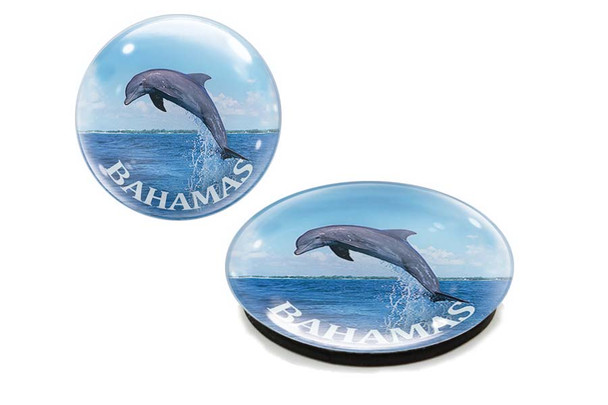 Bahamas Dolphin  Glass Magnet 50mm