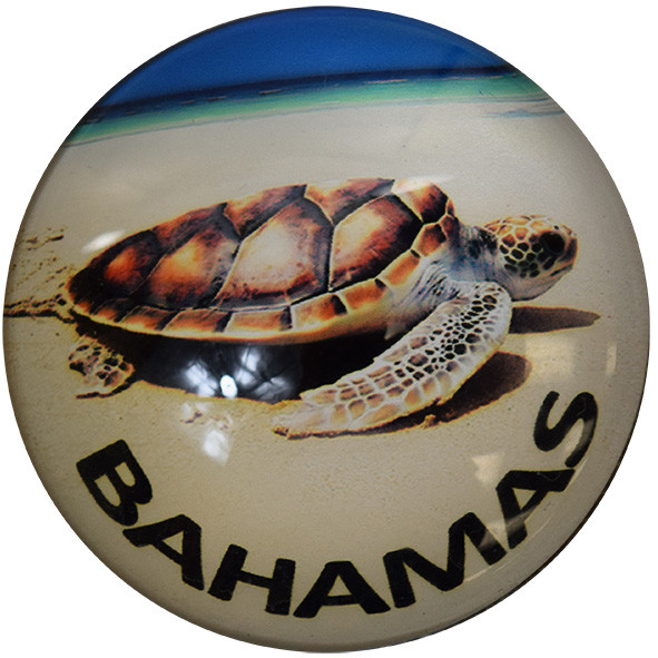 Bahamas Turtle  Glass Magnet 50mm
