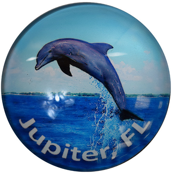 Jupiter, FL Dolphin  Glass Magnet 50mm