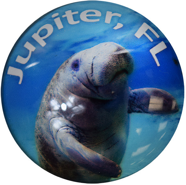 Jupiter, FL Manatee  Glass Magnet 50mm
