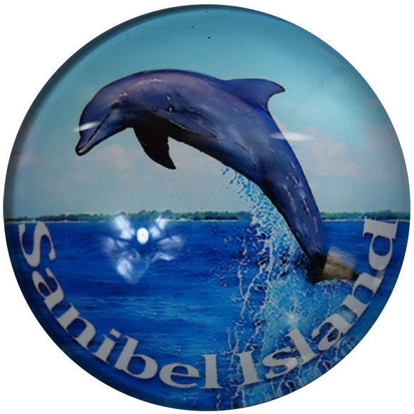 Sanibel Island Dolphin Glass Magnet 50mm