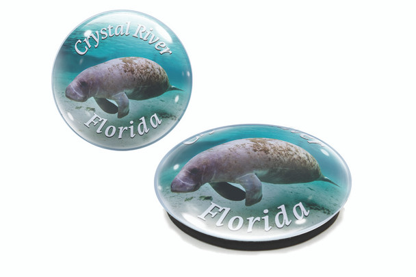 Crystal River Manatee G1000-70 Glass Magnet 50mm