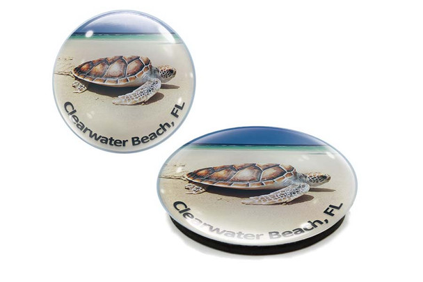 Clearwater Beach Turtle  Glass Magnet 50mm