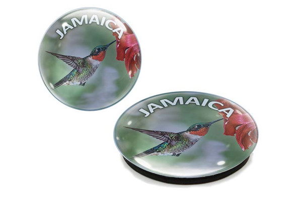 Jamaica Humming Bird G1000-81 Glass Magnet 50mm