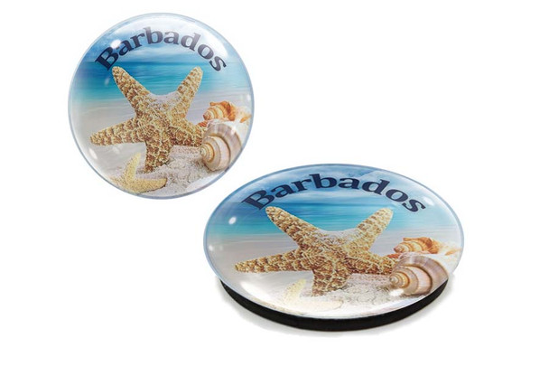 Barbados Shells G1000-88 Glass Magnet 50mm