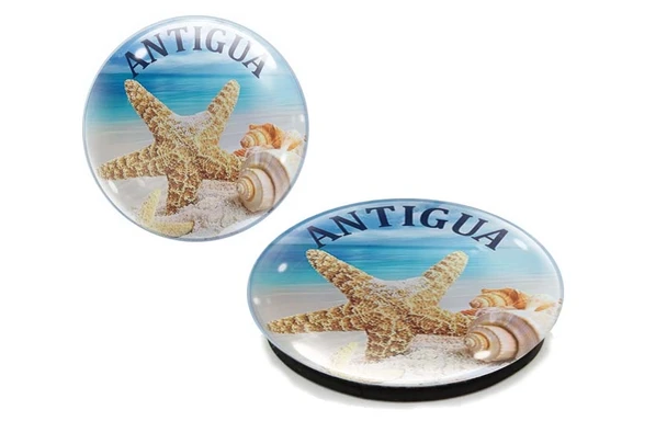 Antigua Shells G1000-91 Glass Magnet 50mm