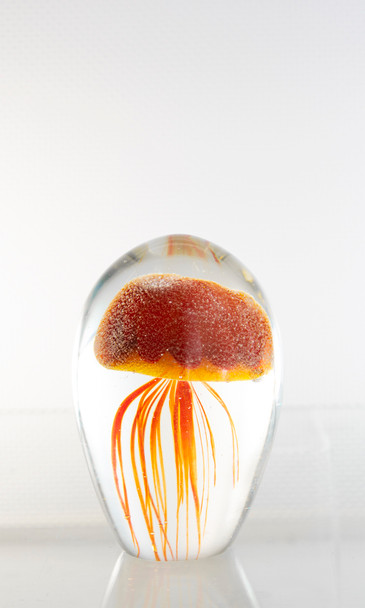 Glass Jellyfish 4 1/4? Red