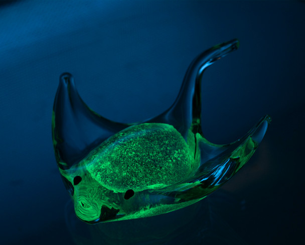 Glass Stingray Blue 5"