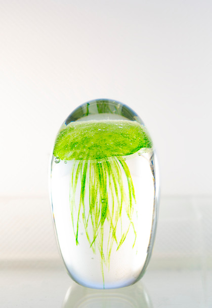 Glass Jellyfish Green 4 1/4"