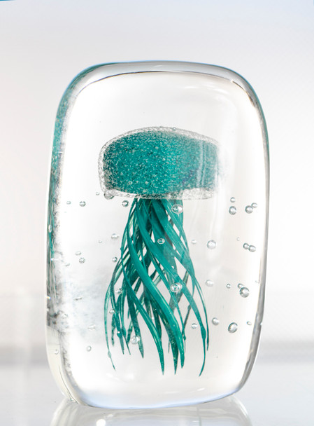 Blue Glass Jellyfish 5 1/2?