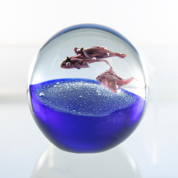 Stingrays Swimming in ball