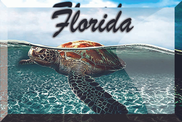 Glass Magnet Turtle 2" X 3"