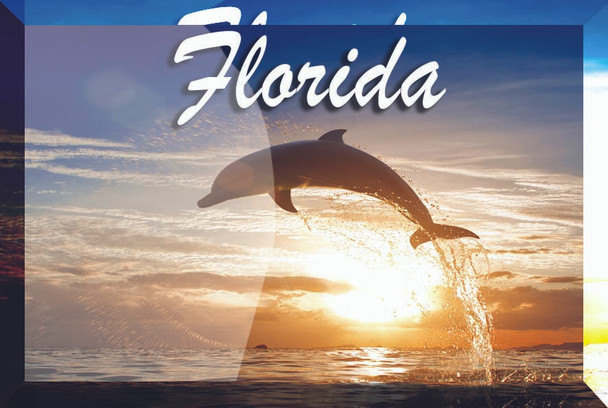 Glass Magnet Dolphin Sunset 2" X 3"