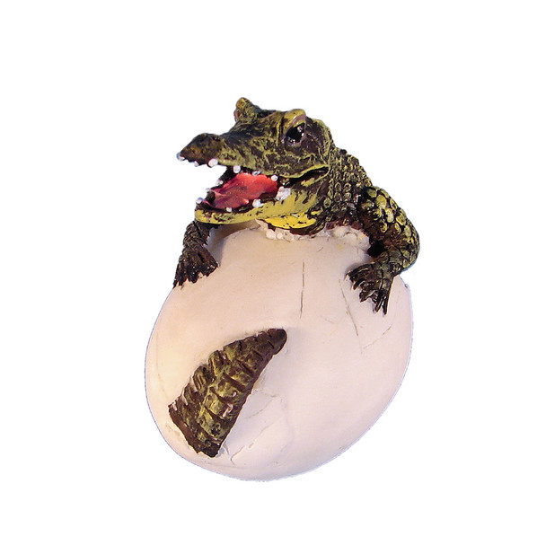 Alligator Egg 2 1/2"