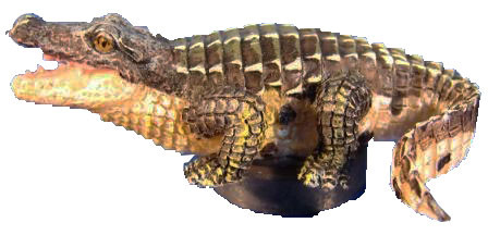 Gator Mini Magnet 2"