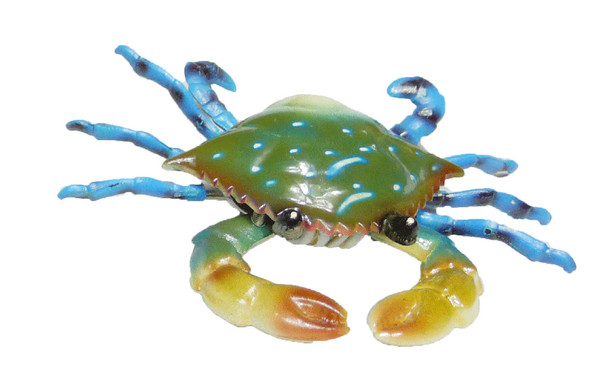 Jiggly Blue Crab Magnet 3 1/2"