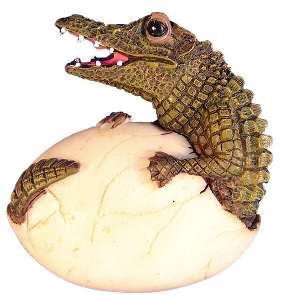 Alligator Egg Magnet 2 1/2"