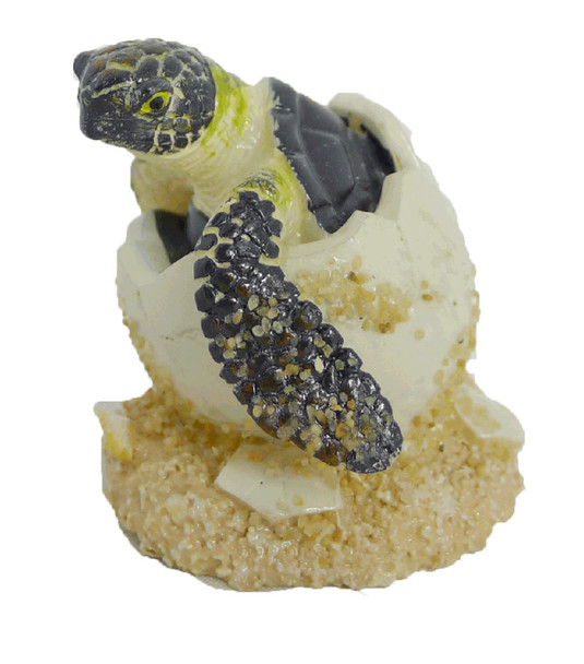 Turtle Hatchling on Sand 2"