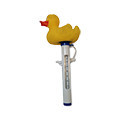 Pool and Spa Thermometers