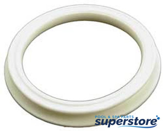 Waterway Plastics 806105124951 Storm Jet Gasket Flat Waterway Plastics 806105124951 Storm Jet Gasket Flat