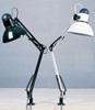 Swing Arm Lamp - Contour
