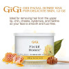 GiGi Facial Honee  Wax - 14oz - G0310
