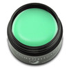Light Elegance UV/LED Sublime Lime Color Gel - .57 oz (17 ml)