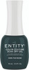 Entity Color Couture Soak Off Gel OWN THE ROOM - 15 mL / .5 fl oz