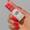 DND - Gel & Lacquer - Blossom - #801