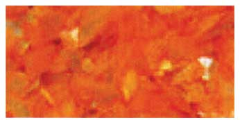 Glam & Glits Crushed Sea Shell - Honey Bliss .5oz