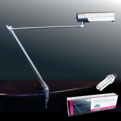 Energy Efficent Salon Desk Lamp with Bulb 20W Silver