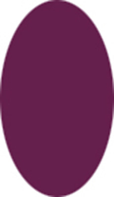 U2 Pastel, Present & Future Color Acrylic Powder - Girls & Boysenberry - 16 oz ( 1 lb)