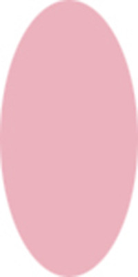 U2 Pastel, Present & Future Color Acrylic Powder - Blush Hour - 16 oz (1 lb)