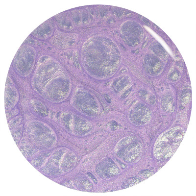 ORLY Gel FX Soak-Off Gel Rollin With My Homies - .6 fl oz / 18 ml