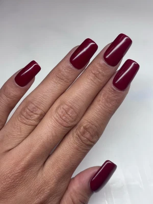Light Elegance P+ Color Gel Polish Moneybags - 10 ml