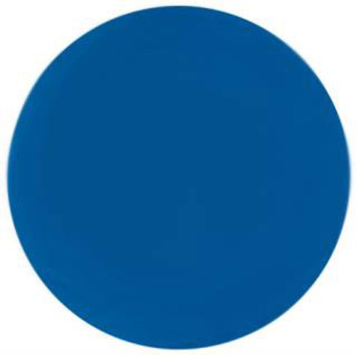 NSI Technailcolor Colored Acrylic - Disco Powder NSI Technailcolor Colored Acrylic - Disco Powder