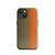 Brook Trout Flank iPhone Case
