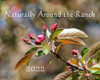 Cover image of Montana nature calendar by Twin Wranglers