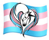 Long Sleeve LGBTQ - Trans Flag & Unicorn